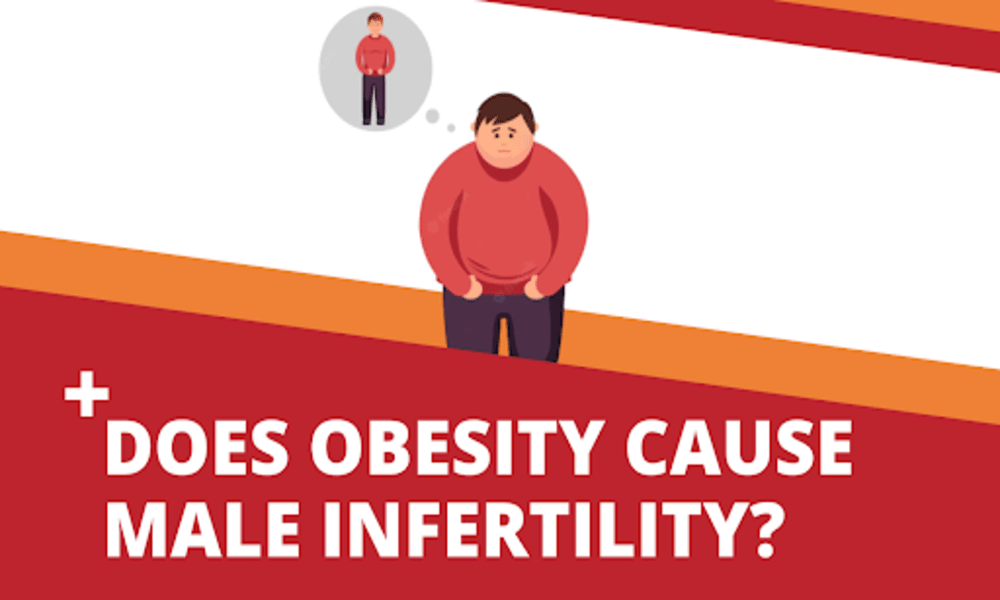 OBESITY AND MALE INFERTILITY